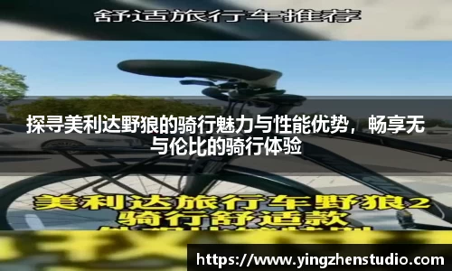 探寻美利达野狼的骑行魅力与性能优势，畅享无与伦比的骑行体验